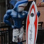 Monterey2016_0132 (April 29, 2016)